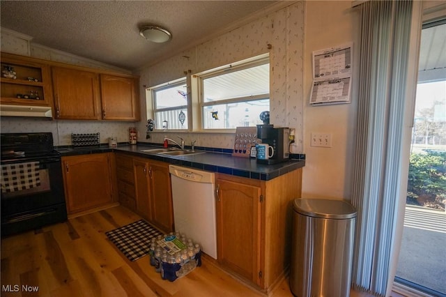 8672 Ridgeview Rd, Chandlersville, OH 43727 - kitchen with a sink, under cabinet range hood, black / electric stove, light wood-type flooring, and dishwasher