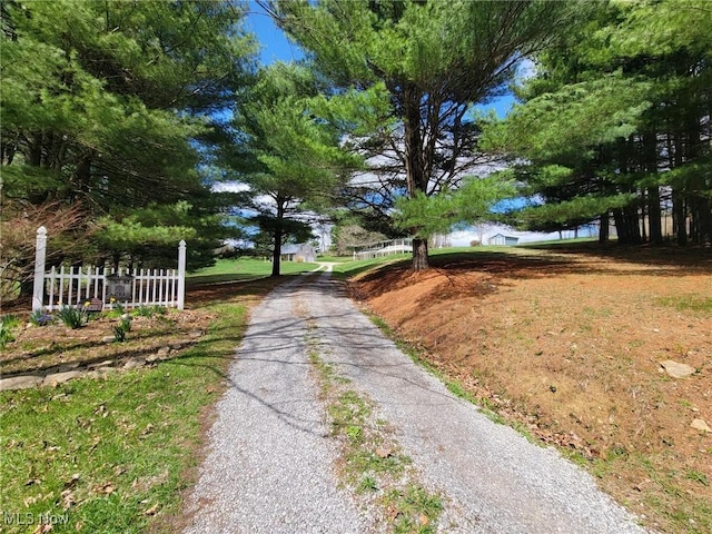 3249 Township Road 249, Toronto, OH 43964 - photo 3