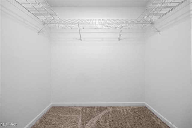 1996 E Oldgate Rd, Sandusky, OH 44870 - walk in closet featuring carpet flooring