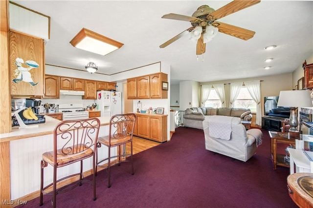 living room with light colored carpet and ceiling fan