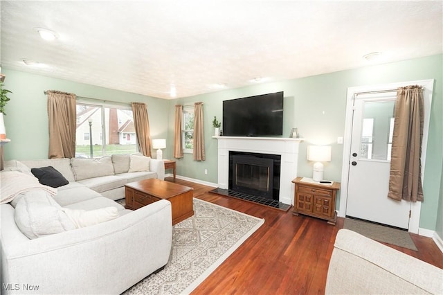 living area with wood finished floors, baseboards, and a glass covered fireplace