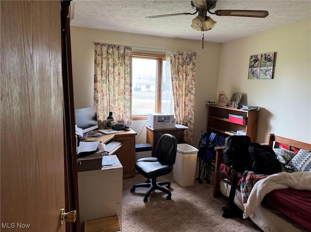 591 N Smyser Rd, Wooster, OH 44691 - carpeted home office featuring ceiling fan and a textured ceiling