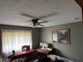 591 N Smyser Rd, Wooster, OH 44691 - living area with ceiling fan and a textured ceiling