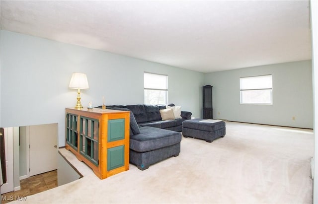 1159 Timbercrest St, Liberty, OH 44505 - photo 14