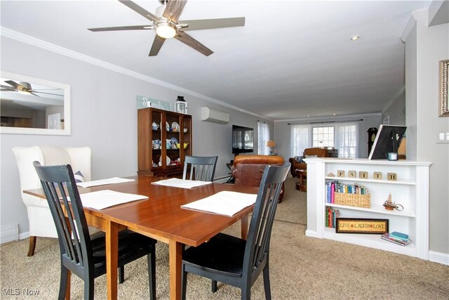 31 Morgan Ave, Ashland, OH 44805 - dining room with ornamental molding, an AC wall unit, a ceiling fan, and carpet