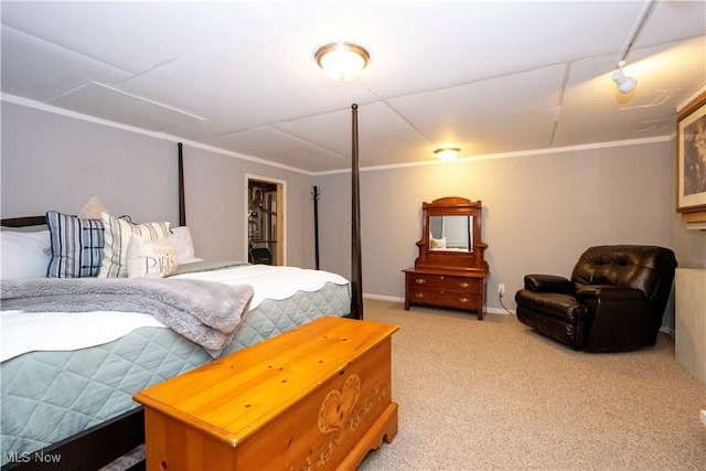 31 Morgan Ave, Ashland, OH 44805 - bedroom featuring light colored carpet, baseboards, and ornamental molding
