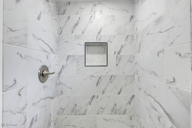 interior details with tiled shower