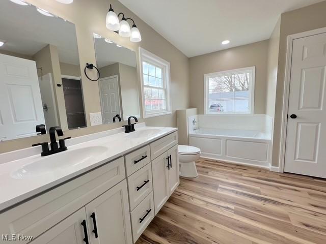 bathroom with double vanity, a bath, wood finished floors, and a sink