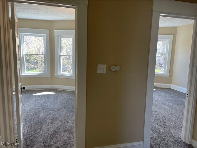 494 Eddy Rd, Cleveland, OH 44108 - photo 24