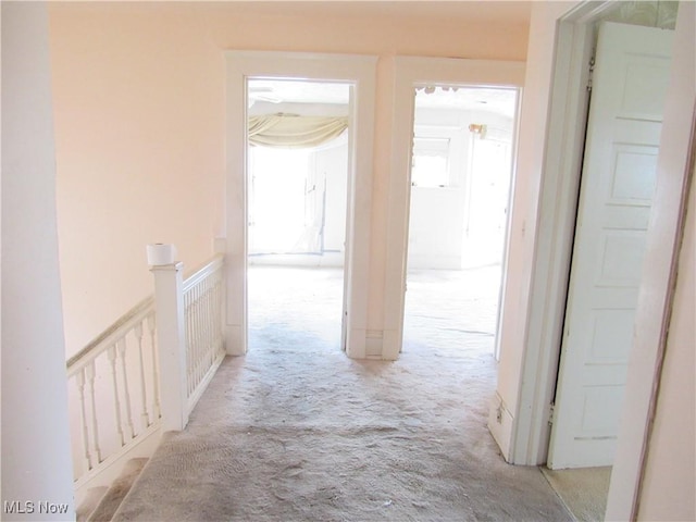 1831 Knowles St, East Cleveland, OH 44112 - corridor featuring light carpet, a decorative wall, an upstairs landing, and plenty of natural light
