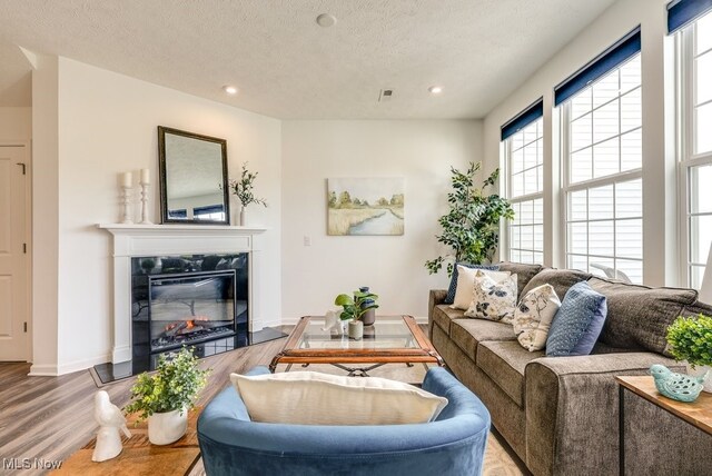 835-2 Dipper Ln, Aurora, OH 44202 - living room with wood finished floors, recessed lighting, a fireplace, and a textured ceiling