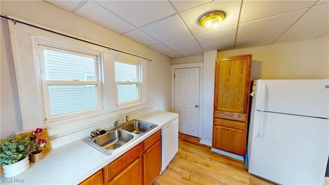 kitchen with a paneled ceiling, white appliances, light countertops, brown cabinets, and a sink