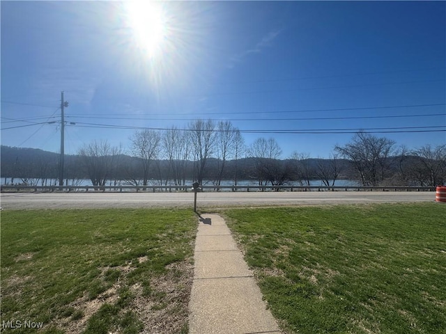 36577 State Route 7, Sardis, OH 43946 - view of yard