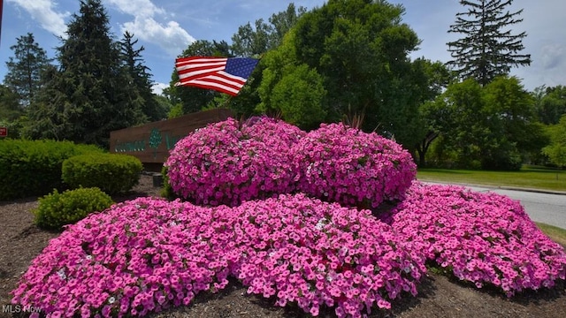 view of community sign