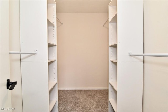 walk in closet featuring carpet flooring
