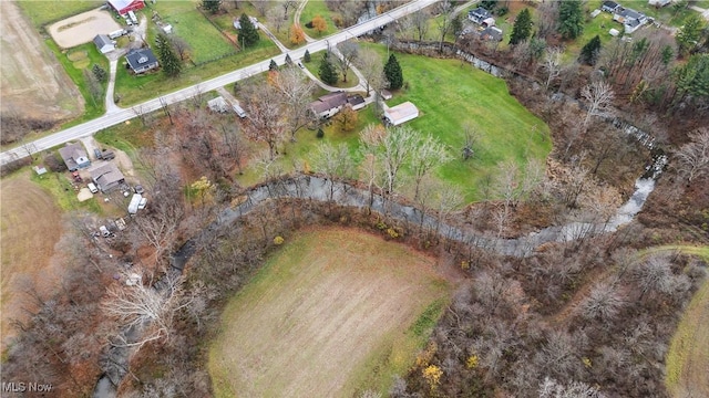 bird's eye view