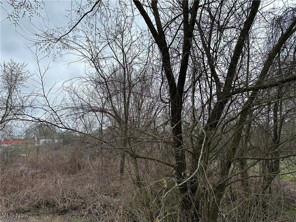 12th St NW, Canton, OH 44708 - photo 1