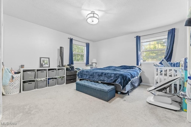 7319 Guilford Rd, Seville, OH 44273 - carpeted bedroom featuring a textured ceiling