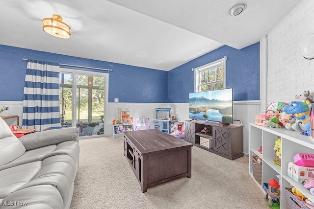7319 Guilford Rd, Seville, OH 44273 - living room with carpet flooring and wainscoting