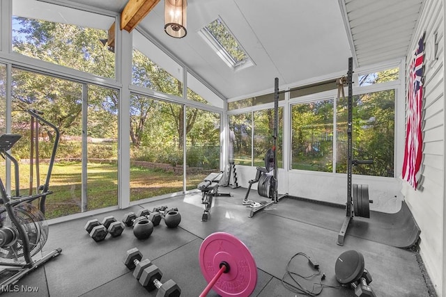 7319 Guilford Rd, Seville, OH 44273 - gym featuring a wall of windows, plenty of natural light, and lofted ceiling with skylight