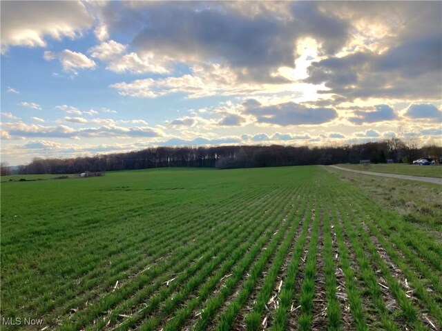 New Milford Rd, Rootstown, OH 44201 - photo 3