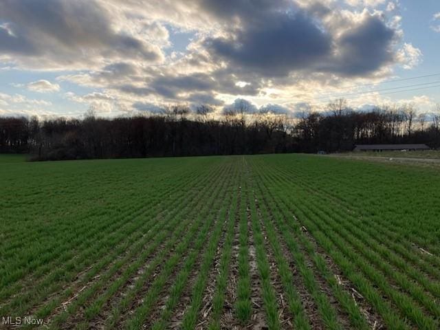 New Milford Rd, Rootstown, OH 44201 - photo 4