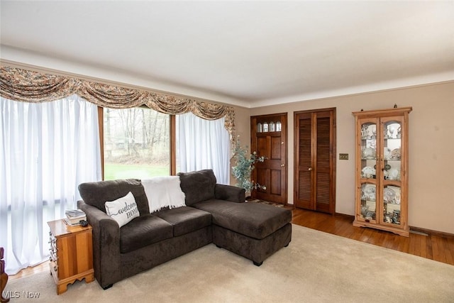 3035 Hamilton Rd, Medina, OH 44256 - living room featuring light wood-type flooring