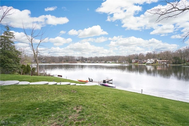 810 Point Dr, Akron, OH 44319 - dock area with a water view and a yard