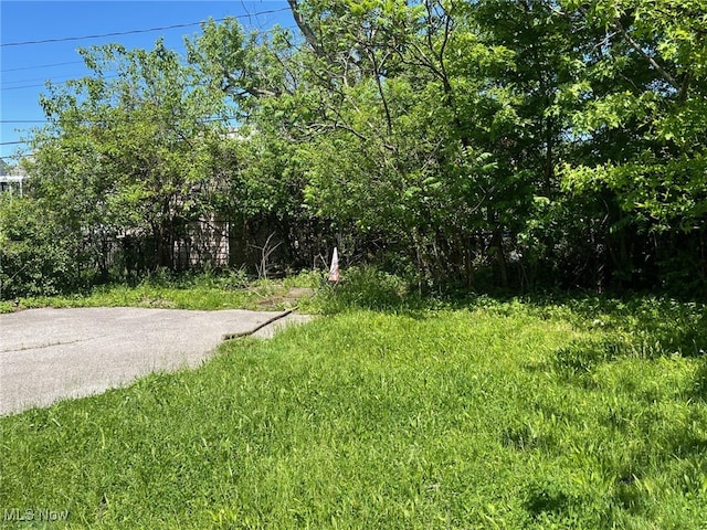 17207 Stockbridge Ave, Cleveland, OH 44128 - view of street