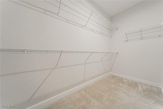 4643 Pebble Creek Ct, Peninsula, OH 44264 - walk in closet with carpet floors