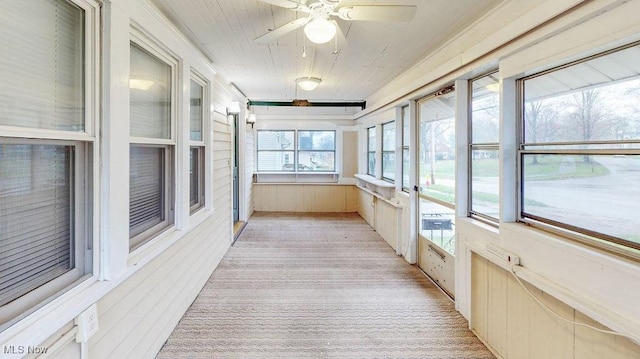 unfurnished sunroom featuring wooden walls, a ceiling fan, and carpet