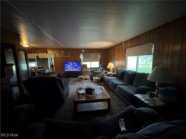 1110 3rd St, Belpre, OH 45714 - carpeted living room with wood walls and a wall mounted AC
