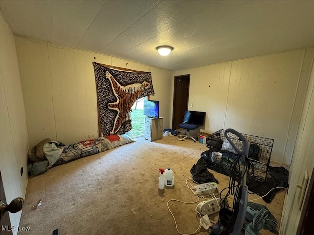1110 3rd St, Belpre, OH 45714 - carpeted bedroom featuring wooden walls