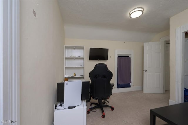 office featuring light colored carpet