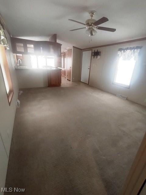 carpeted spare room featuring visible vents, a ceiling fan, and ornamental molding