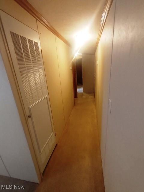 hallway with light colored carpet