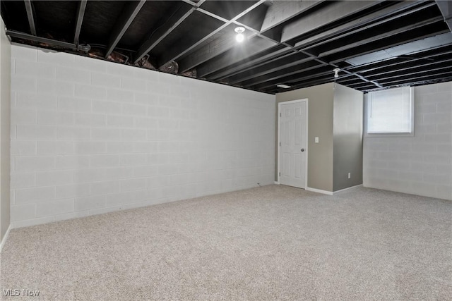 basement featuring carpet floors