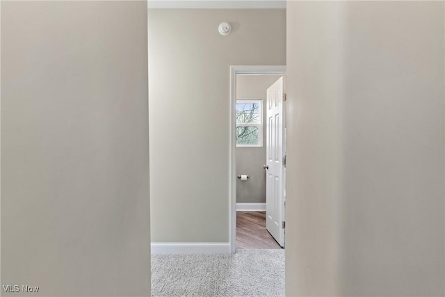 corridor with baseboards and carpet