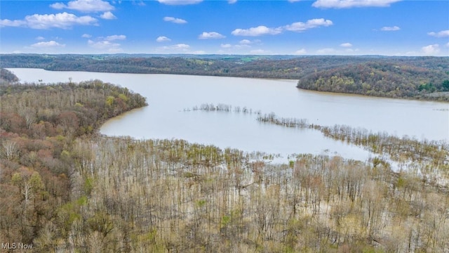 property view of water with a wooded view