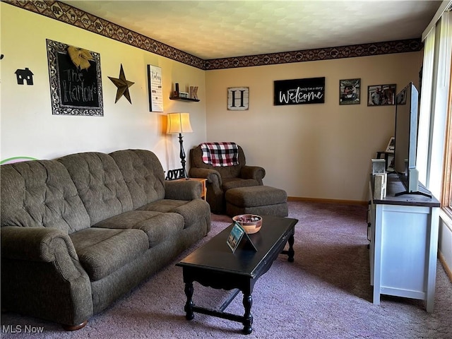 3265 Tieber Rd, Stockport, OH 43787 - living room featuring baseboards, carpet, and plenty of natural light