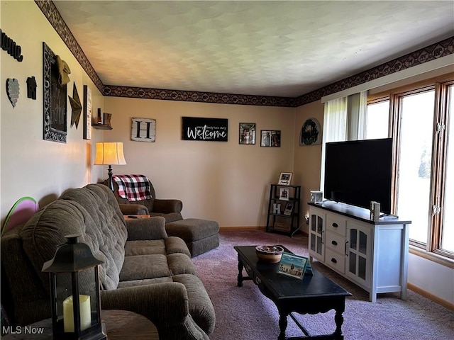 3265 Tieber Rd, Stockport, OH 43787 - living room with baseboards and dark carpet