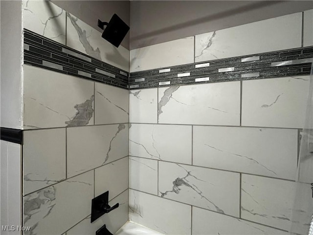 3265 Tieber Rd, Stockport, OH 43787 - bathroom featuring a tile shower