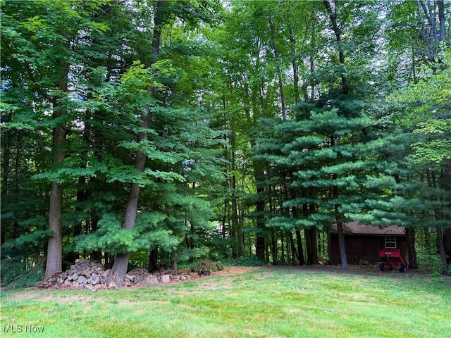 3025 Halle Dr, Medina, OH 44256 - photo 43