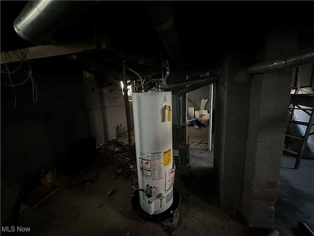 unfinished below grade area featuring gas water heater