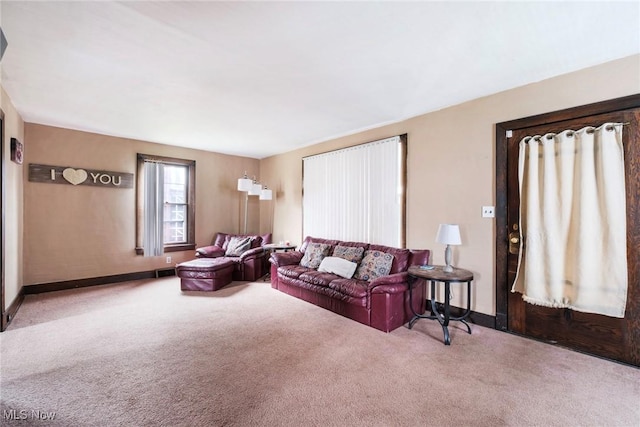 120 Sayers Ave, Niles, OH 44446 - living area featuring carpet flooring and baseboards