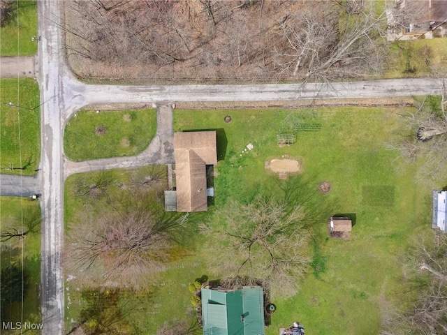 drone / aerial view