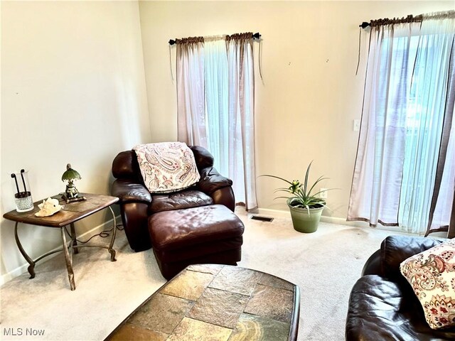 4504 Vista Cir, Kent, OH 44240 - photo 19