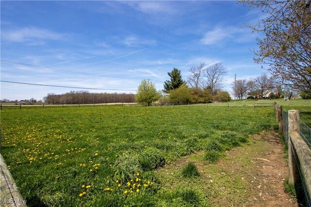 view of yard with fence and a rural view