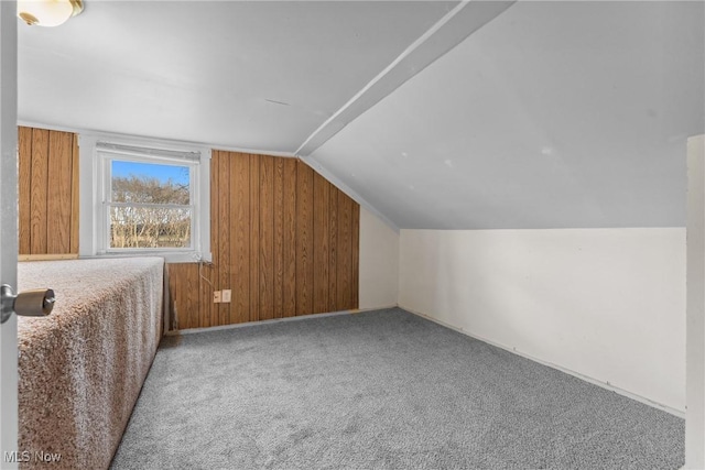 5706 Kemary Ave SW, Navarre, OH 44662 - additional living space with wood walls, carpet flooring, and vaulted ceiling