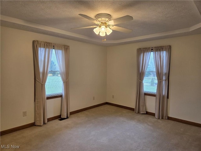 unfurnished room featuring a textured ceiling, light colored carpet, and a wealth of natural light
